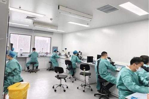 嘉實力全開！嘉定區在全市疾病預防控制職業技能競賽中包攬多個獎項