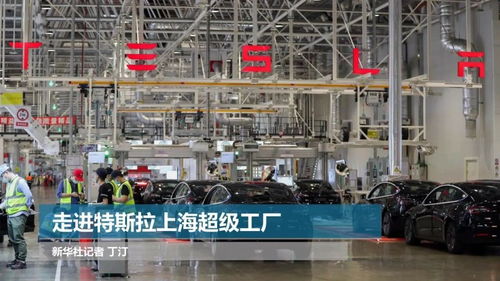 走進特斯拉上海超級工廠 探秘綠色智能制造的上海技術服務新標桿